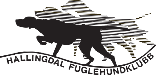 Hallingdal Fuglehundklubb